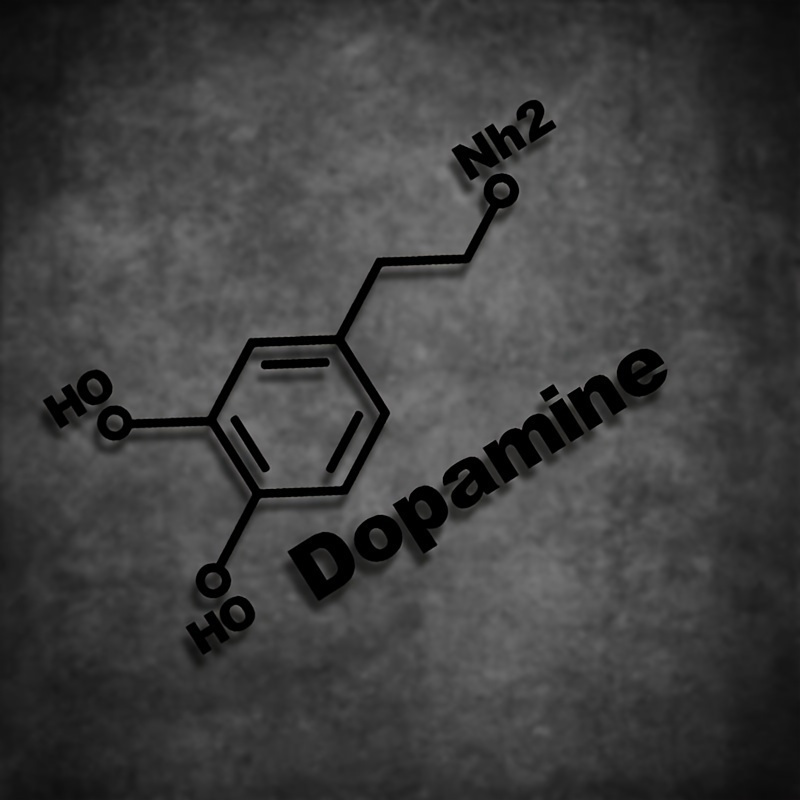 1PC Dopamine Molecule Chemical - Home Decor Dopamine ulasan dan harga