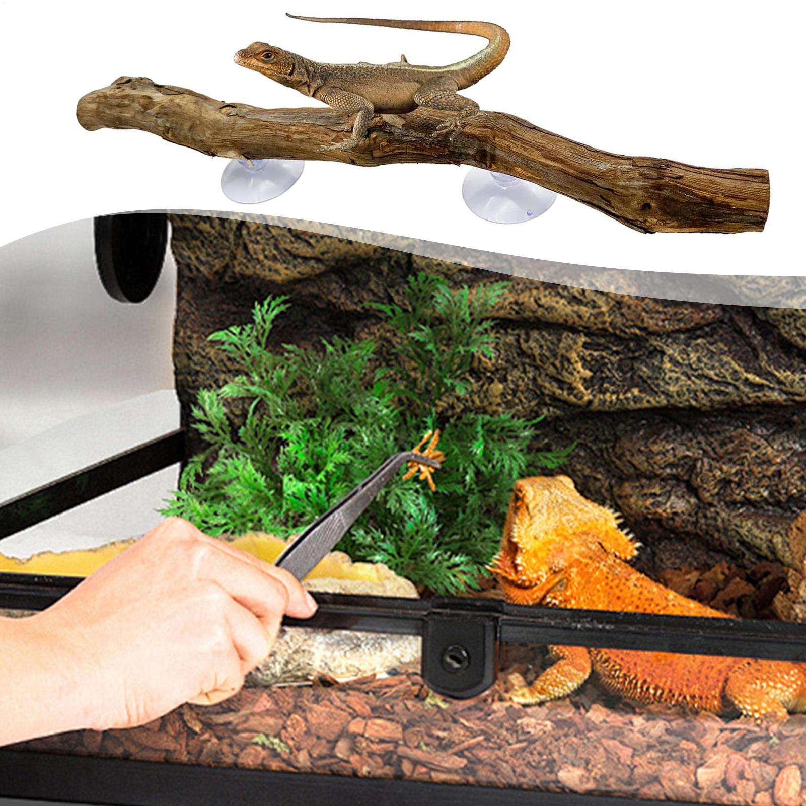 Wooden Snake Climbing Branch R - Home Decor Habitat ulasan dan harga