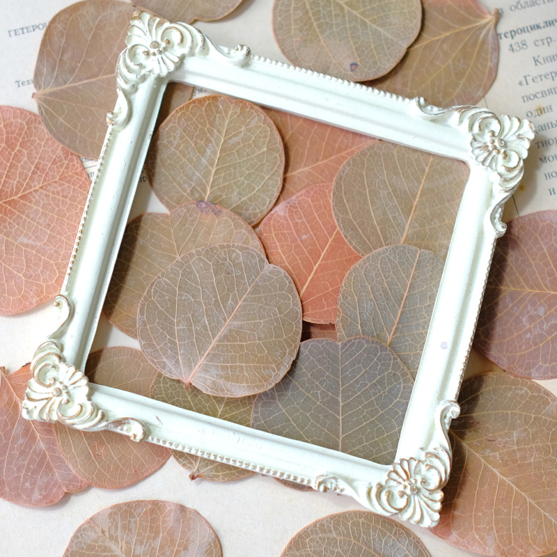 3-5cm/12pcs,Pressed flower dri - Pressed Flower Frame ulasan dan harga