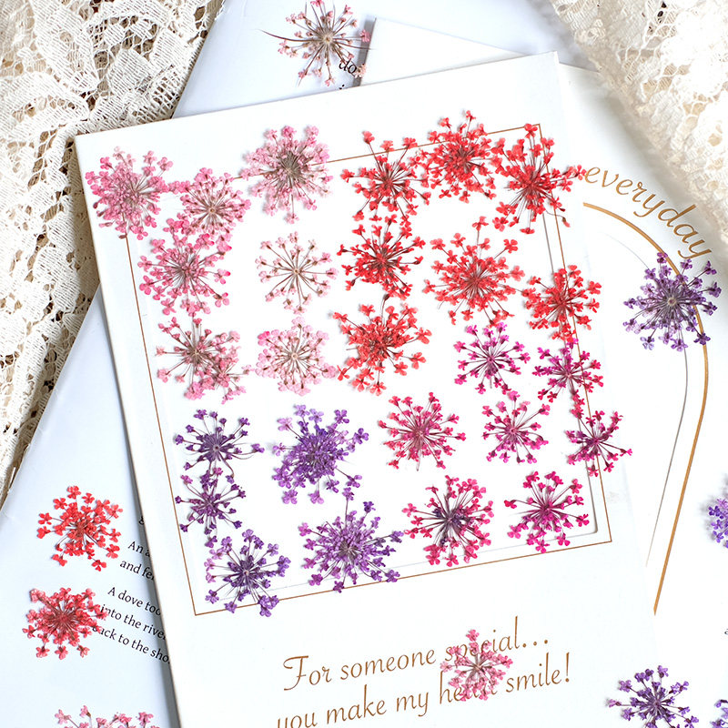 24pcs, 2-2.5cm, Nature Dyed Mi - Pressed Flower Frame ulasan dan harga