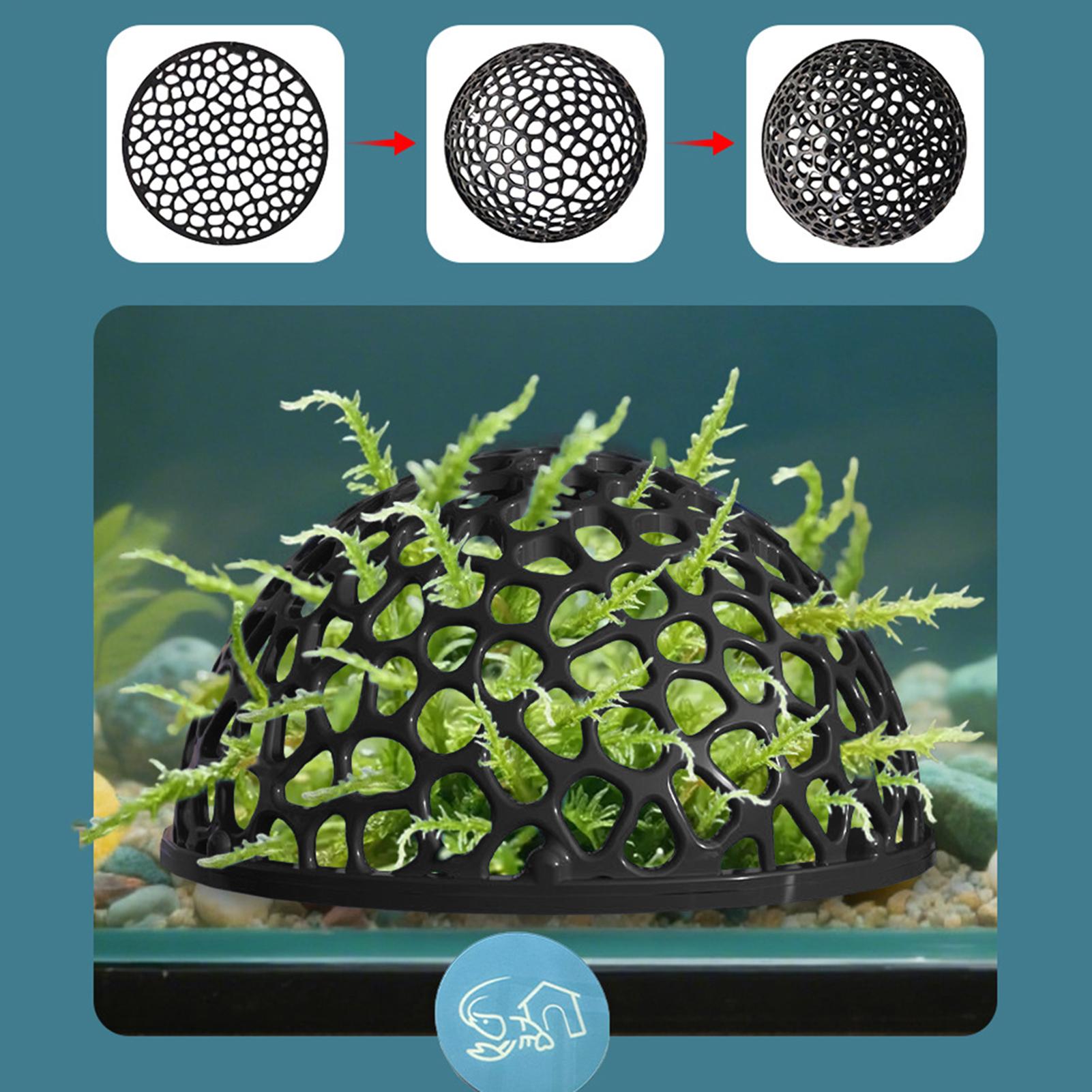 A  Shrimp Breeding Cave fish t - Home Decor Habitat ulasan dan harga